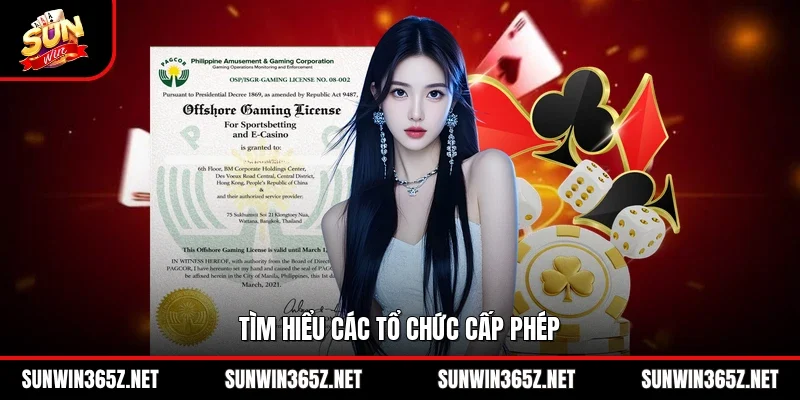 Tìm hiểu các tổ chức cấp phép
